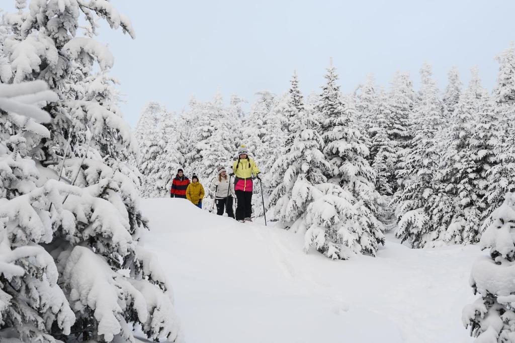 Vantage Point Villas At Stratton Mountain Resort 外观 照片