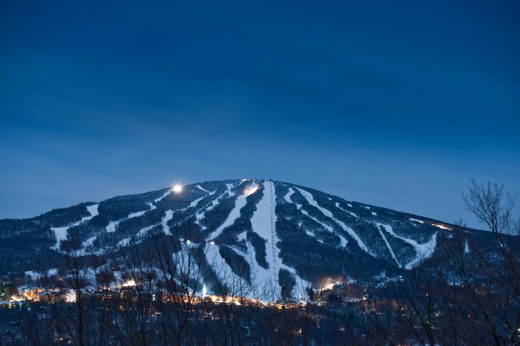 Vantage Point Villas At Stratton Mountain Resort 外观 照片