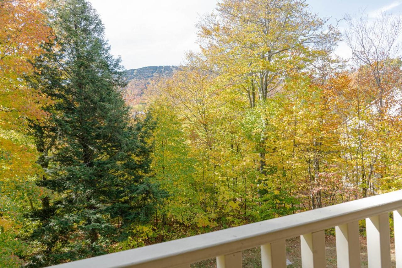 Vantage Point Villas At Stratton Mountain Resort 外观 照片